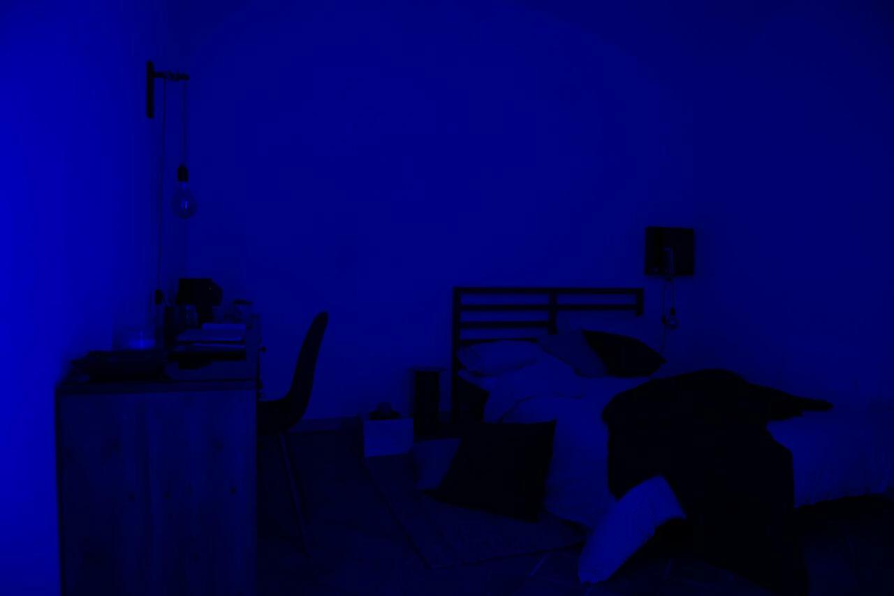 Light Blue - In The Middle Of Everything Vakantiehuis
